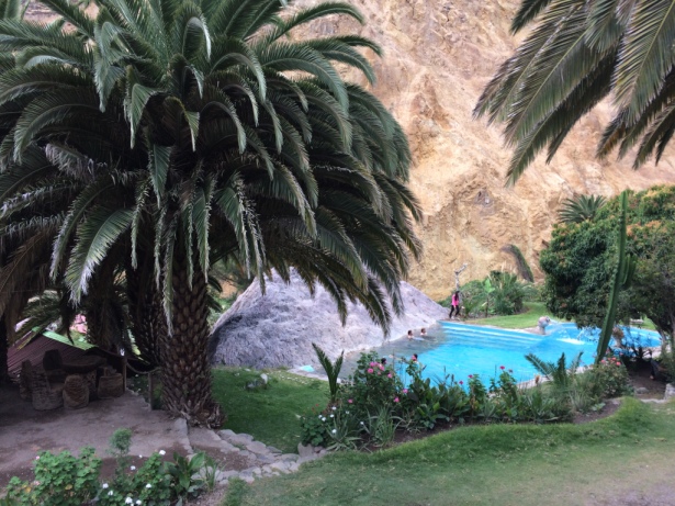 Oasis in the Colca Canyon